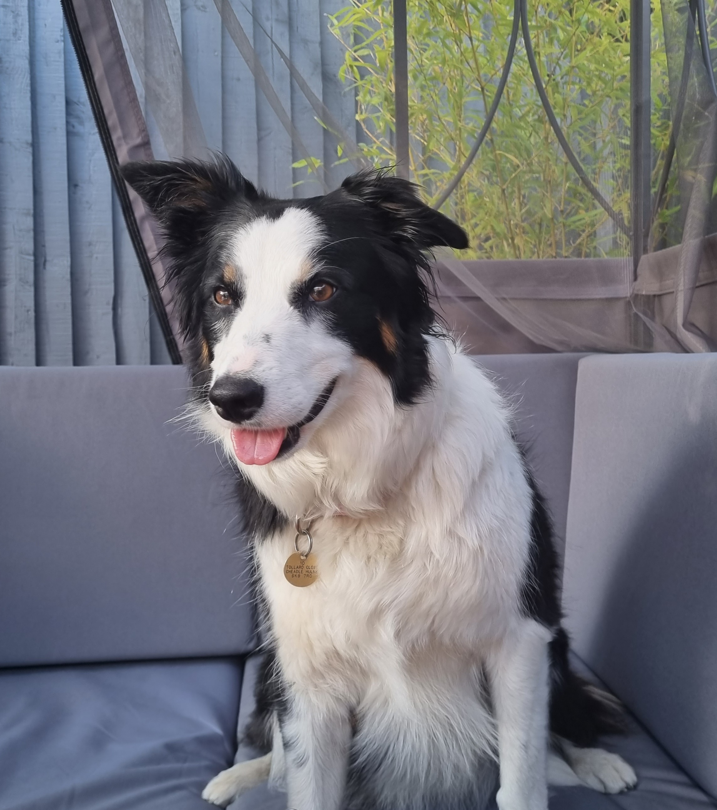 Bella's 5th Birthday